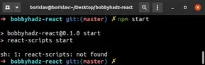 Sh: React-Scripts: Command Not Found After Running Npm Start (Error Solved)  - Tutorials Camp